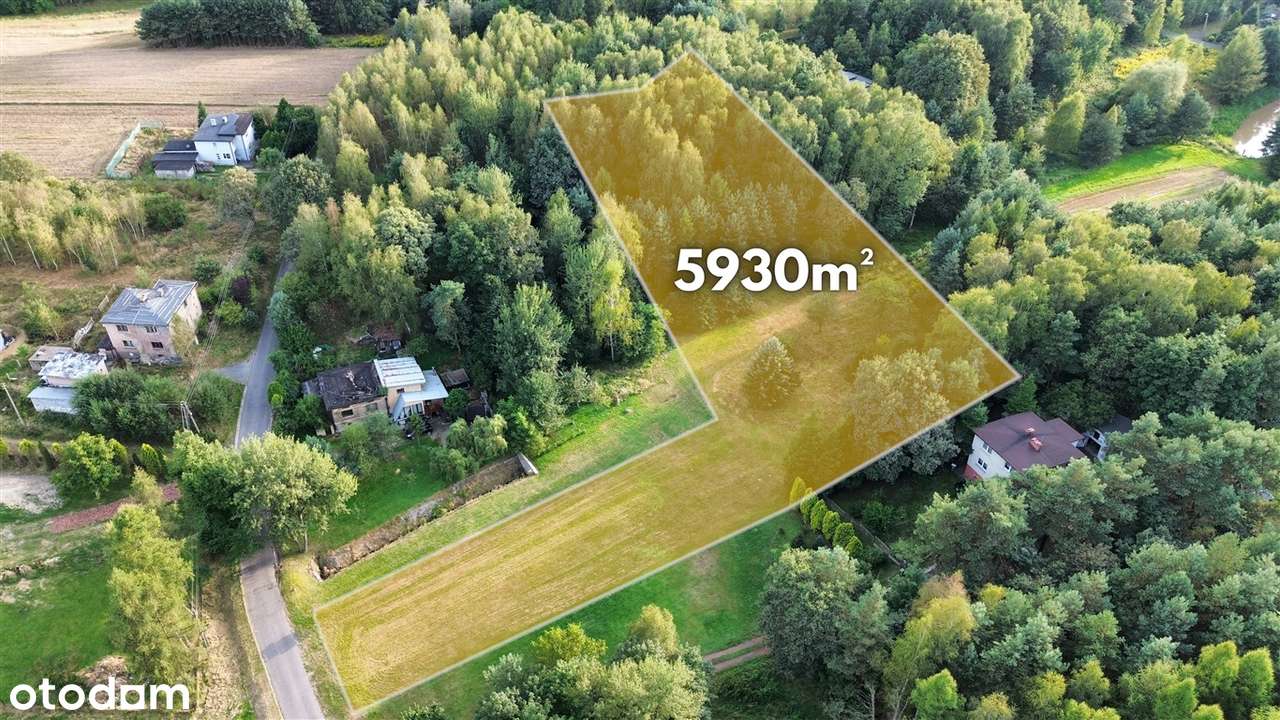 Działka, 5 930 m², Rybnik - Pełny obrazek: 3/7