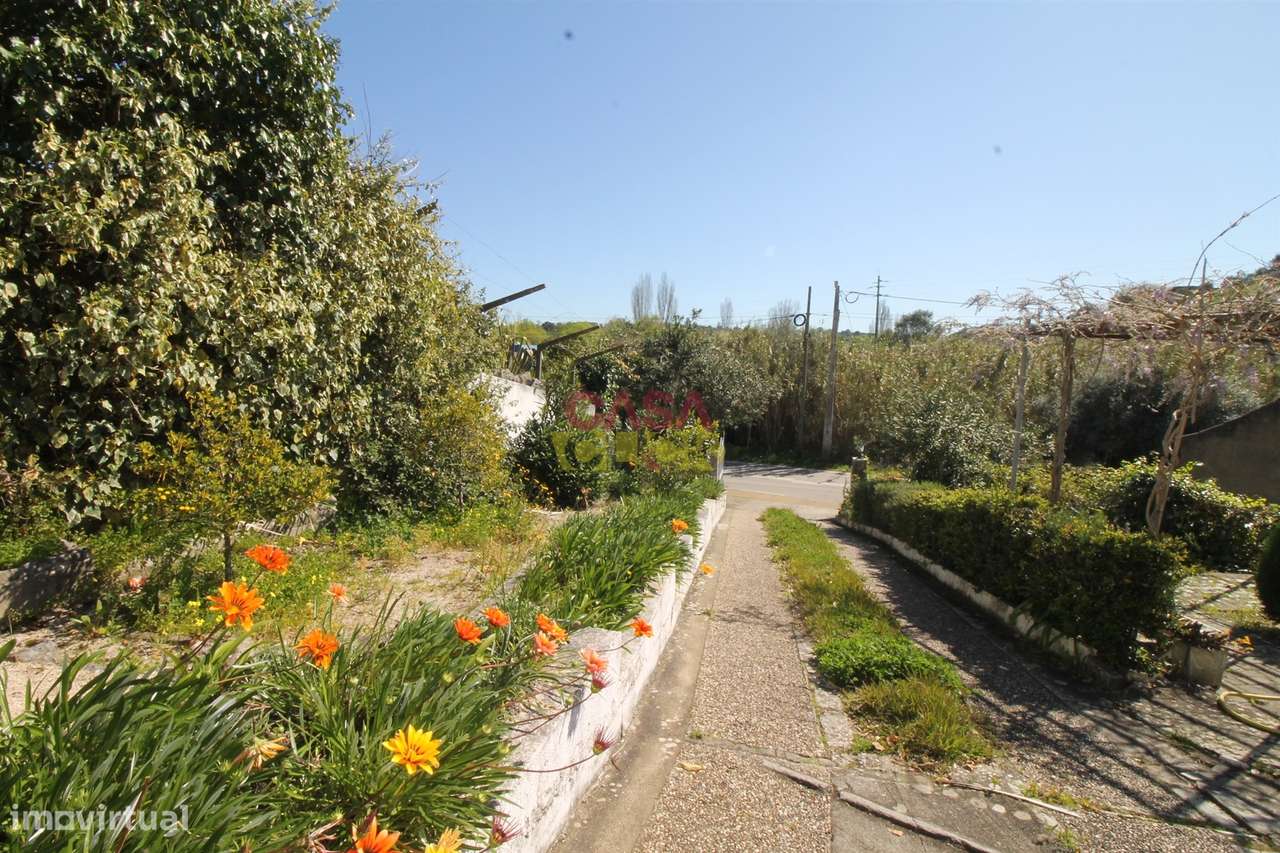 Moradia T3+2 Venda em Zibreira,Torres Novas-20