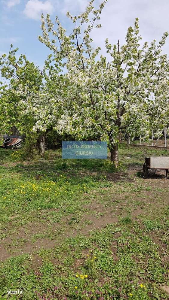 Teren 2.600 mp, utilități, Str. Merișor – Giurgiu-11