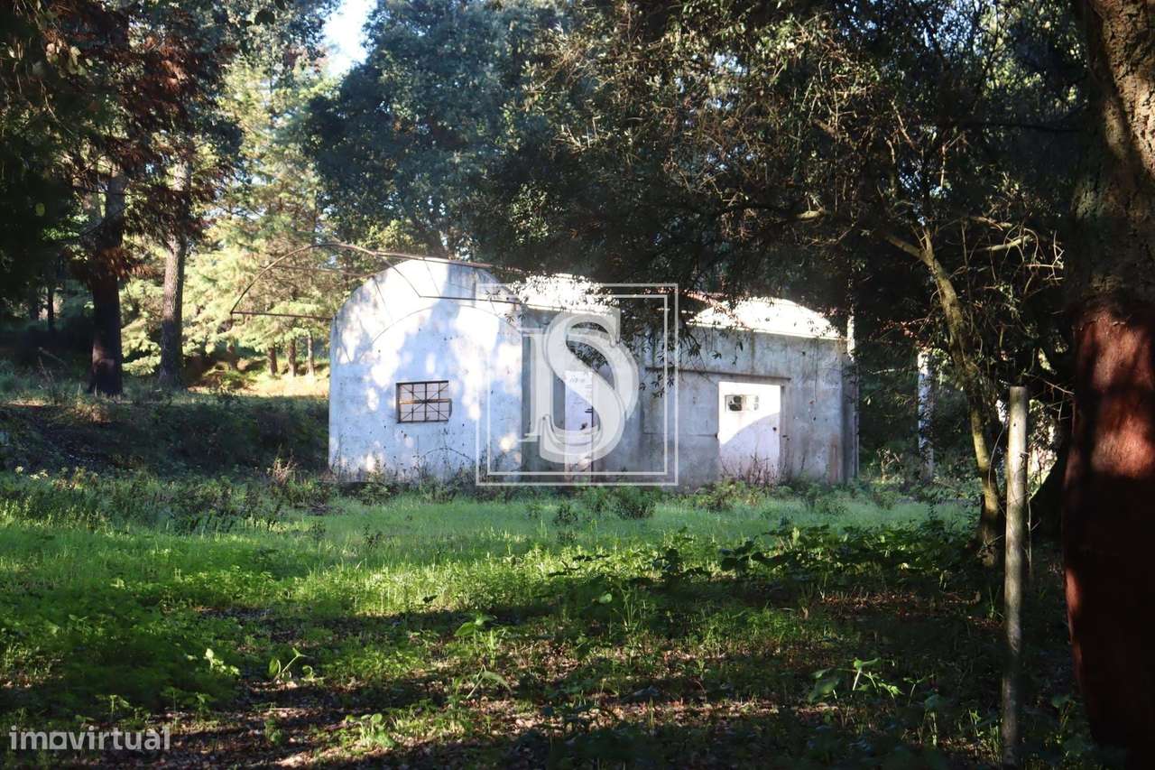 Terreno Urbano - Abrantes - Grande imagem: 4/22