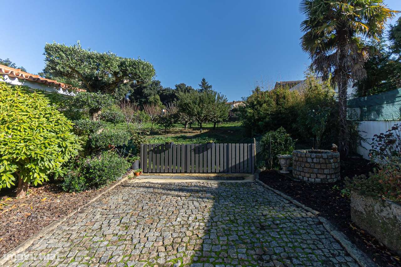 Quinta T4+1 , Moradia Térrea, 4.500 m² Terreno,  Privacidade Total-5