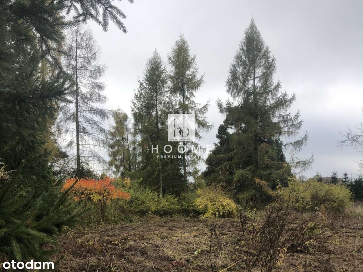 Urokliwa Działka- Wialanów!!-0