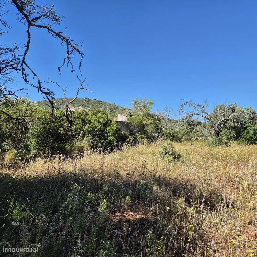 Terreno urbano com ruína - Grande imagem: 4/6