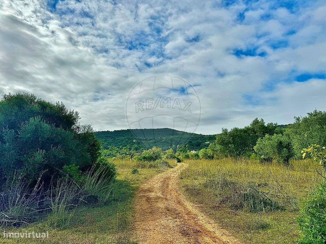 Terreno  para venda - Grande imagem: 2/5