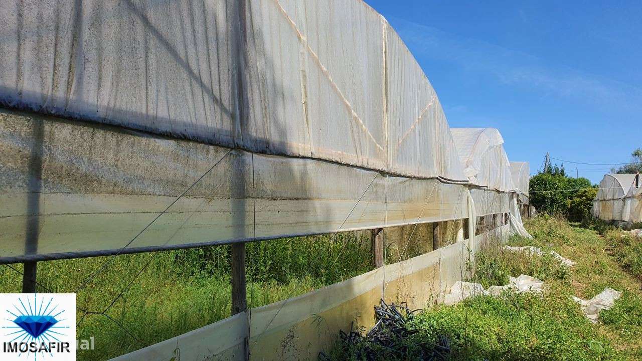 Terreno Agrícola com pequena parte urbana - Grande imagem: 3/15