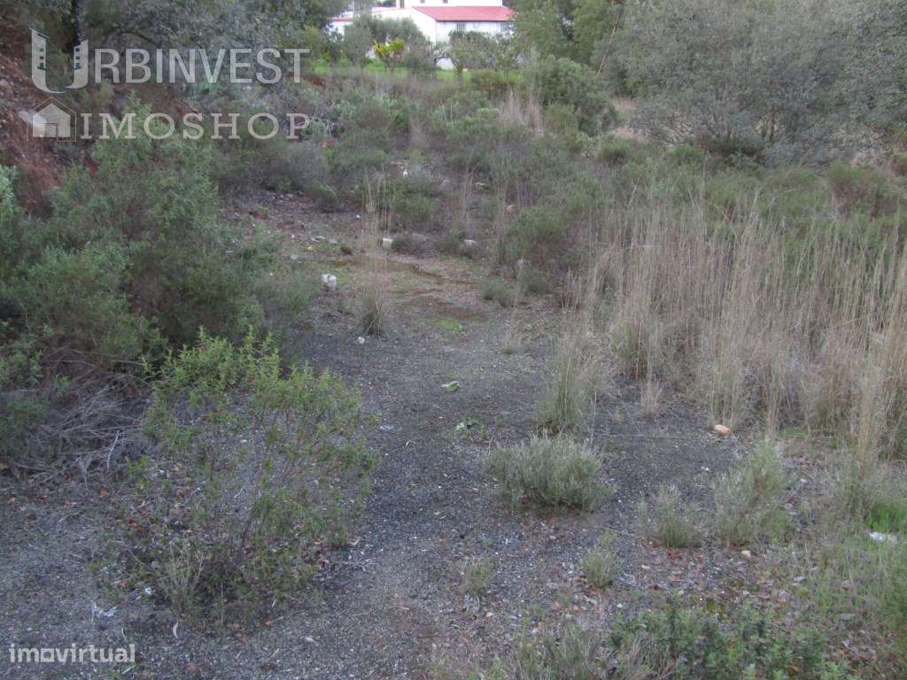 Terreno com vista para o Resort Quinta da Ombria, Algarve - Grande imagem: 4/4