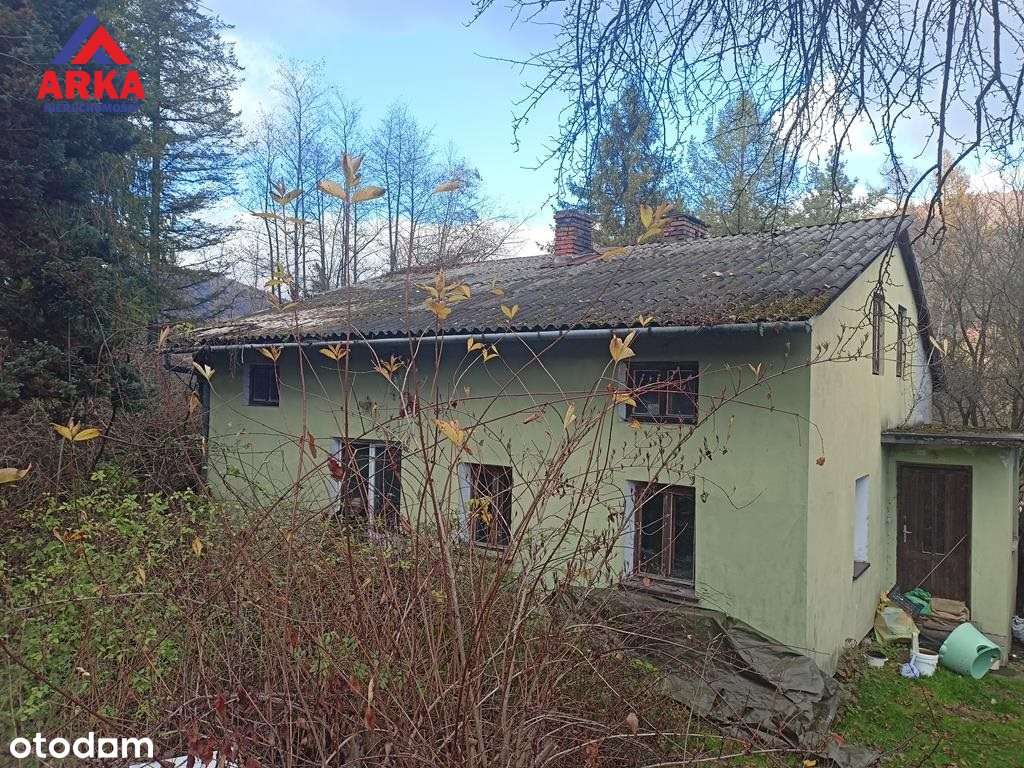 Dom do remontu na dużej działce-0