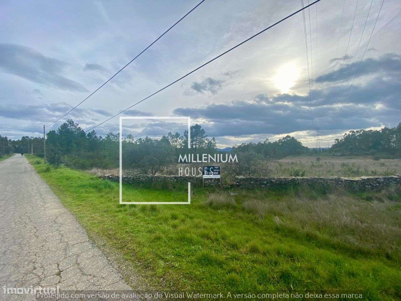 **Terreno Excecional em Sarnadas de Rodão**-5