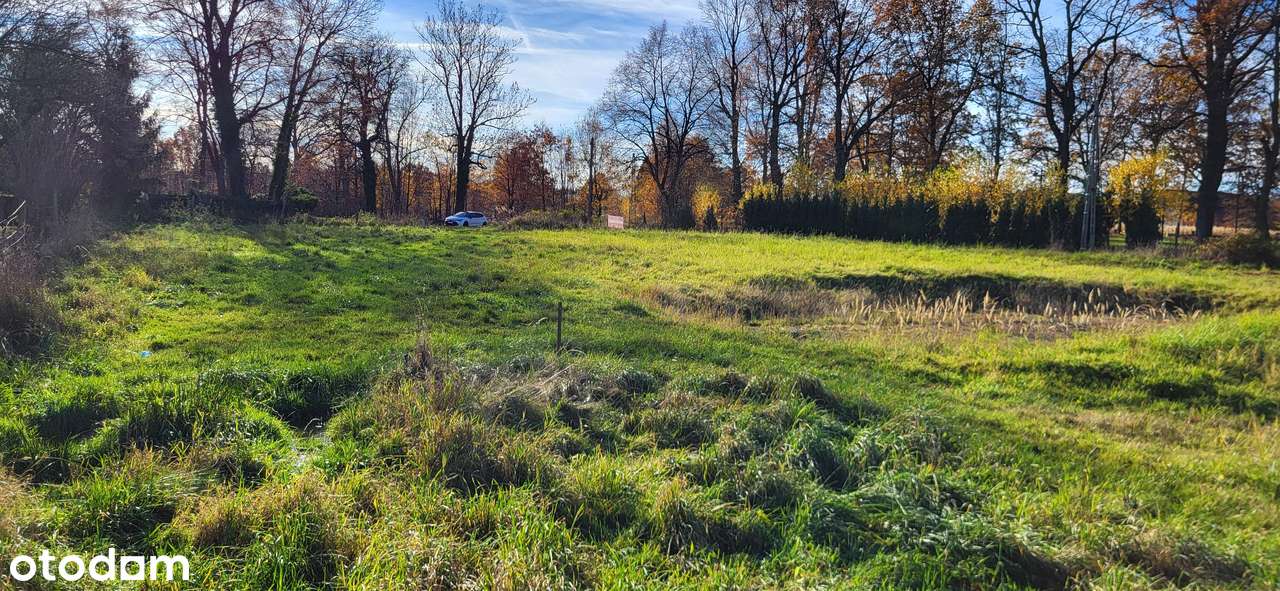 Działka 42,5 ara | pod pensjonat agrotur. | blisko Czech | -39 tys. zł - Pełny obrazek: 5/20