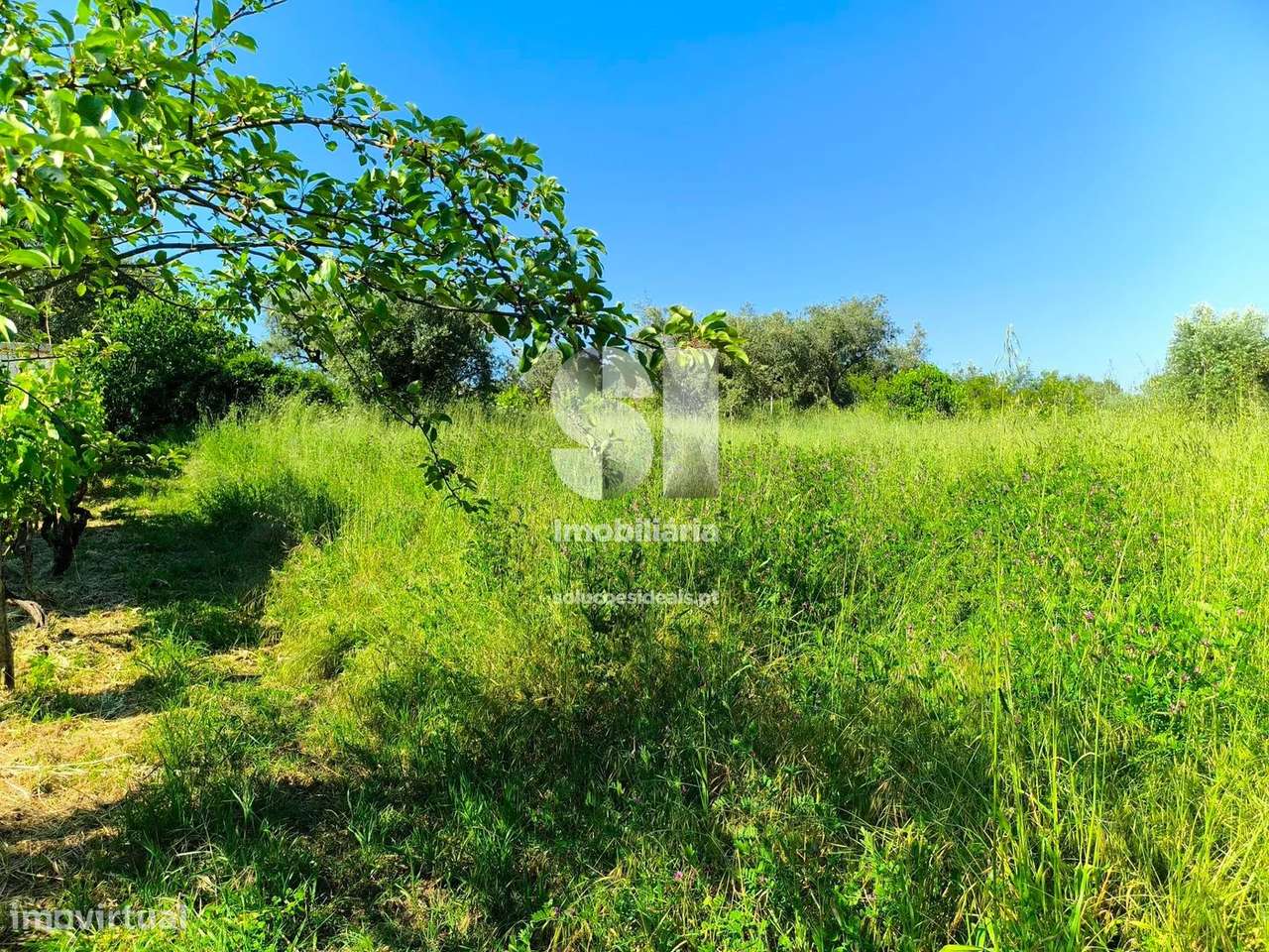 Moradia para Restaurar T1 - Grande imagem: 5/14