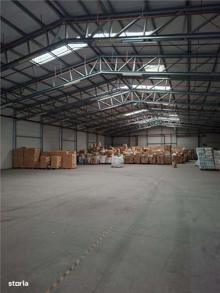 Hala 1500 mp cu autorizatie ISU - sprinklere, platforma betonata - Imagine principală: 4/8