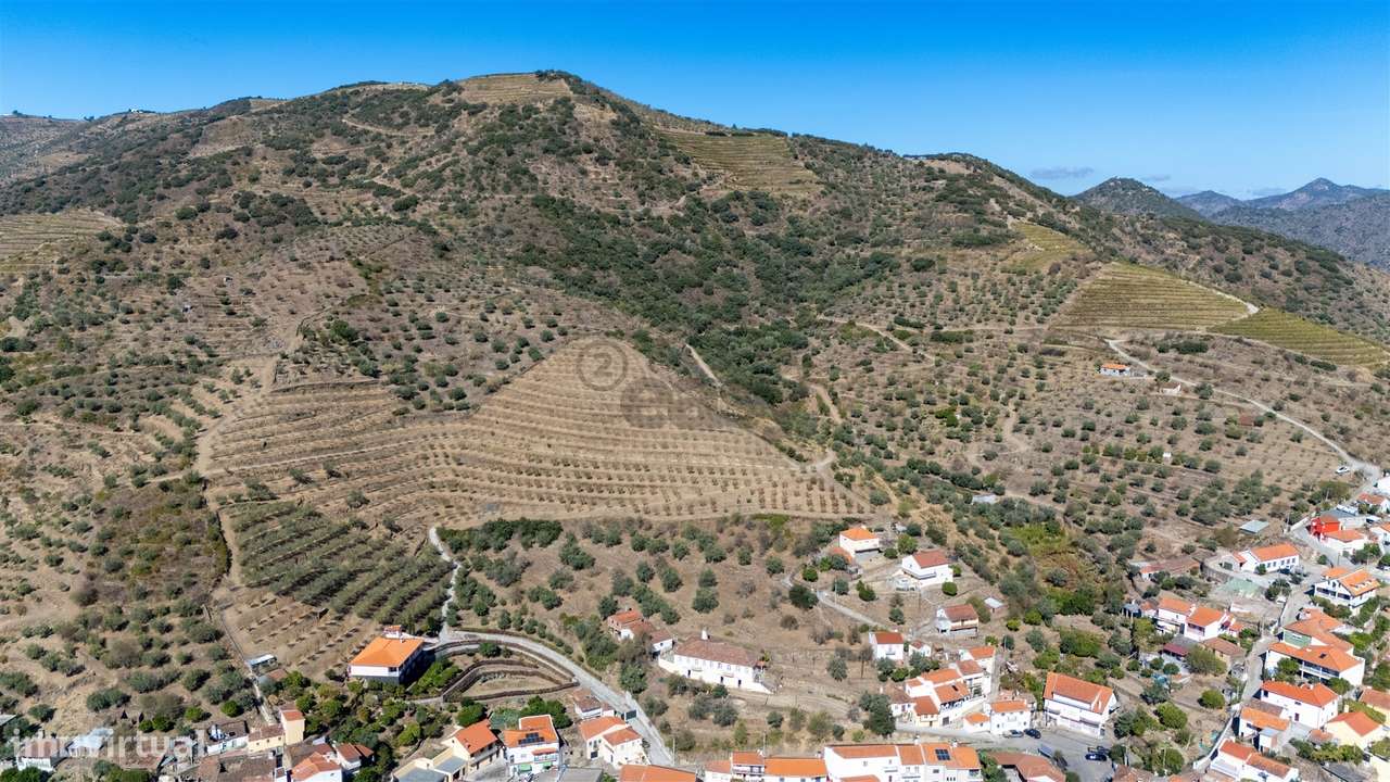 Quinta S. João da Pesqueira - Grande imagem: 4/51