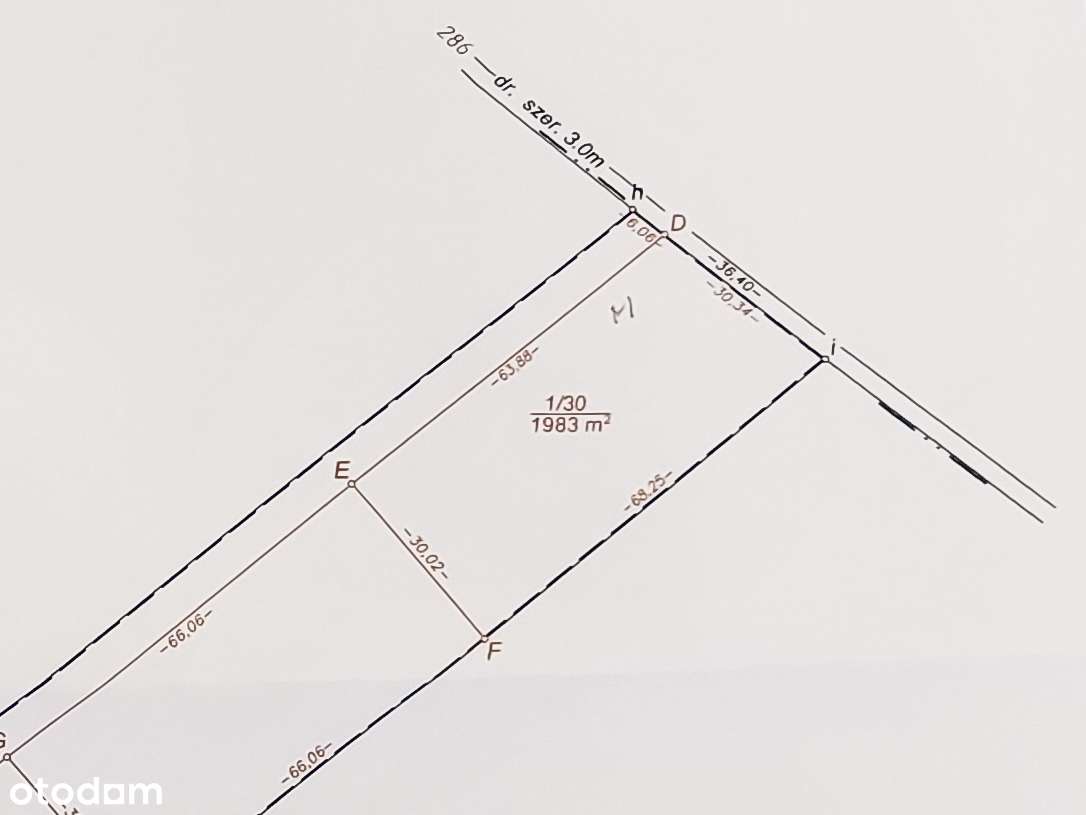 Działka 1983 m² w Józefowie, ul. Leśna – idealne miejsce na Twój dom-9