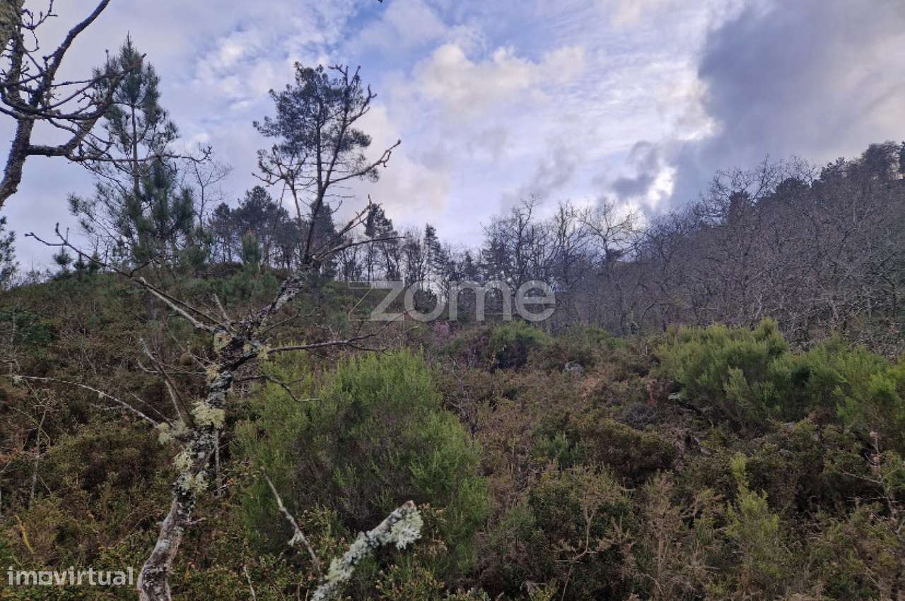 Terreno rústico para venda em Linharelhos, Montalegre - Grande imagem: 5/25