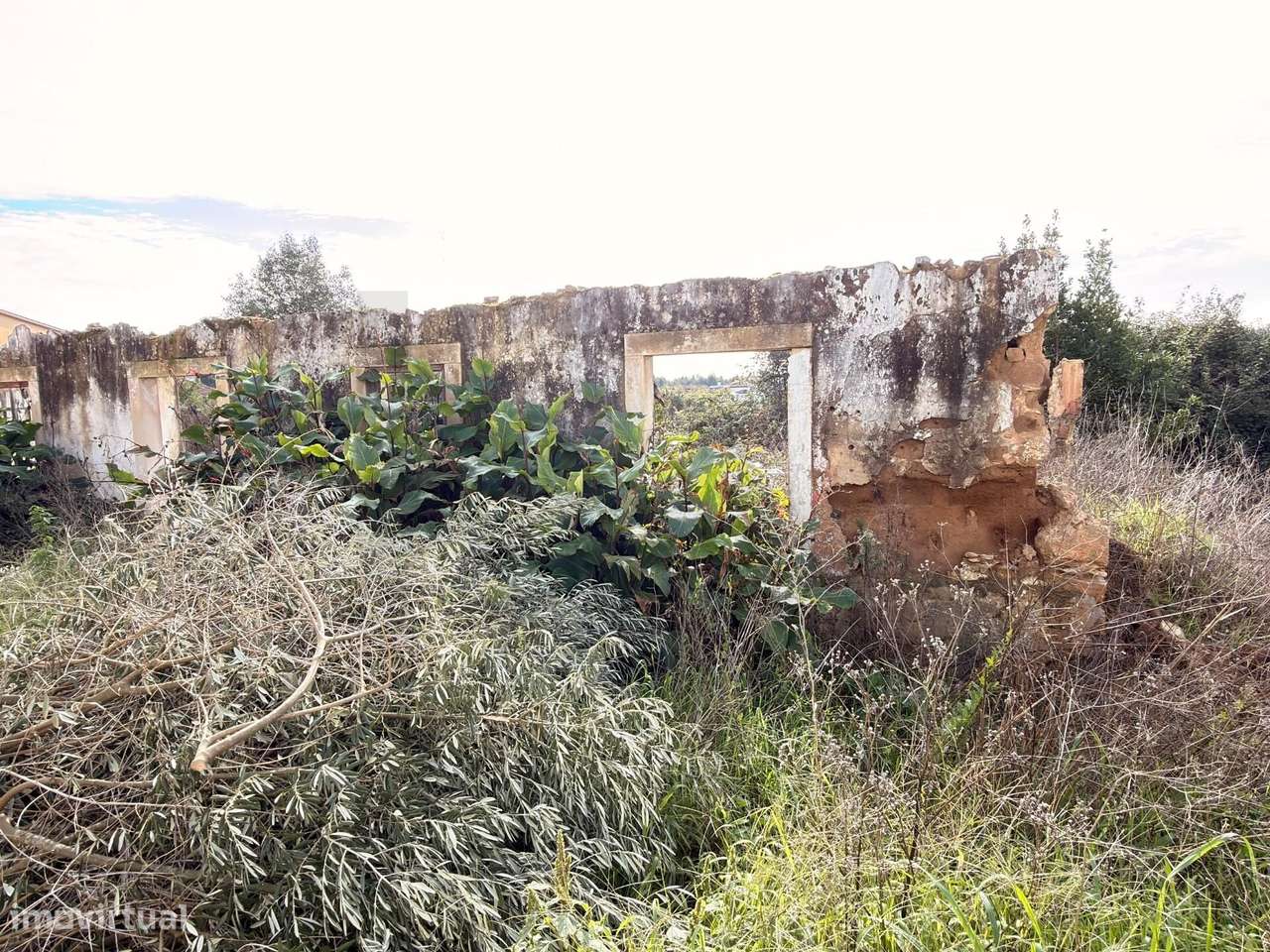 Fantastico Terreno em Póvoas - Rio Maior - Grande imagem: 3/3