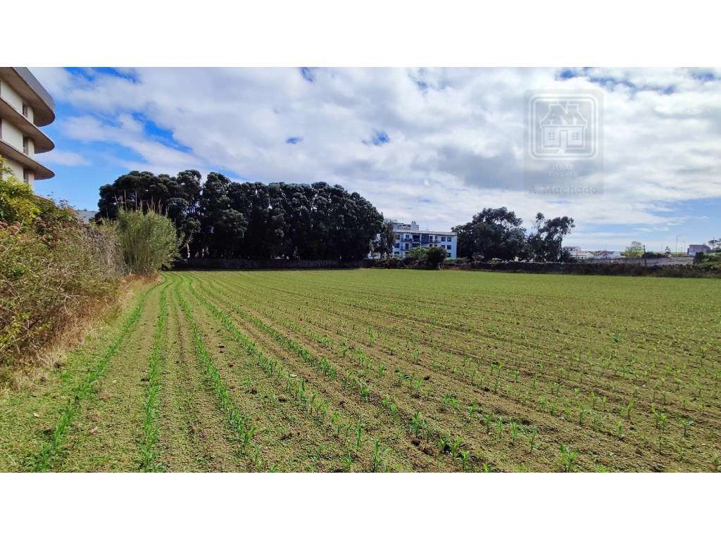 VENDA de TERRENO com potencial para construção - São José, Ponta De... - Grande imagem: 5/16