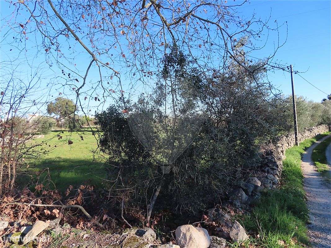 Terreno  para venda - Grande imagem: 4/7