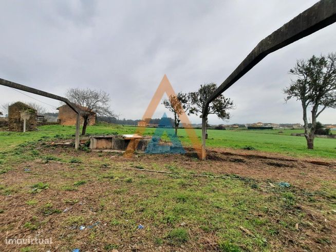 Quinta em Válega - Ovar-2