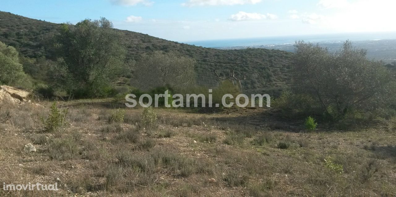 Terreno Para Construção  Venda em Conceição e Estoi,Faro