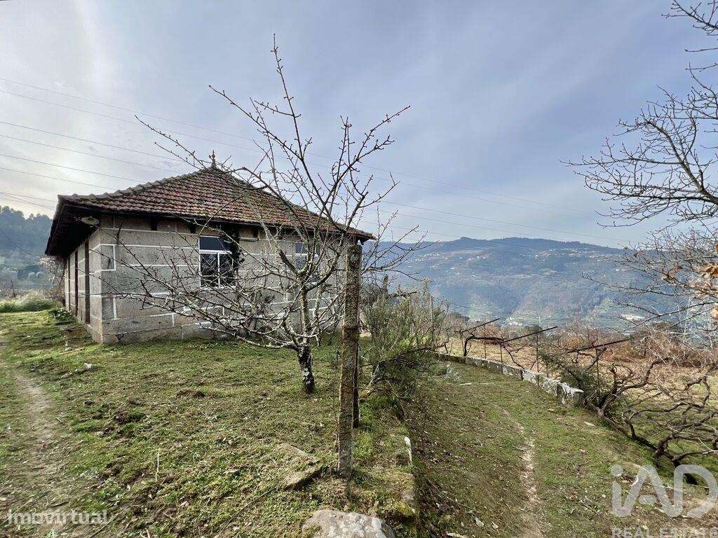 Quinta T5 em Oliveira do Douro de 292,00 m2 - Grande imagem: 3/30