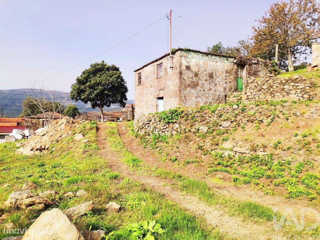 Casa / Villa T3 em Vilela, São Cosme e São Damião e Sá de 597,00 m2 - Grande imagem: 5/18