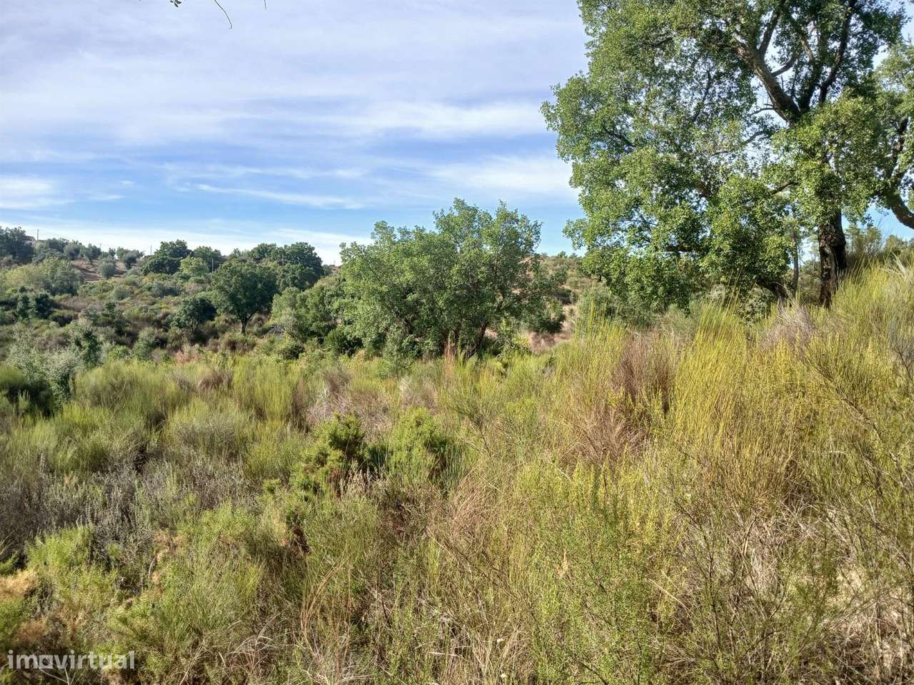 Terreno - Grande imagem: 5/6