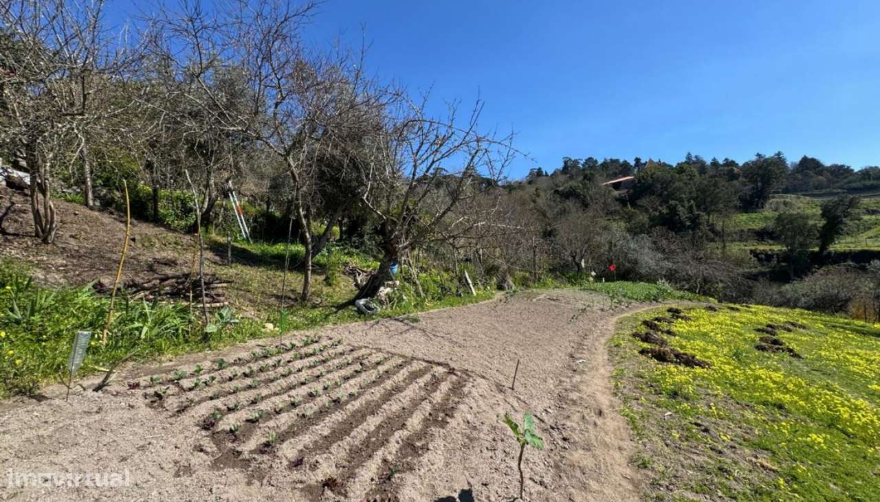Venda Terreno, Sta. Cruz do Douro, Baião - Grande imagem: 4/29