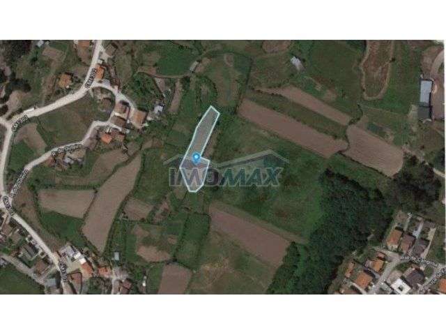 Leira da Nora – Peroselo, Penafiel - Grande imagem: 1/1