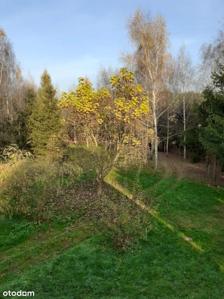 Działka z domem/ węzeł Tarczyn / - Pełny obrazek: 4/7