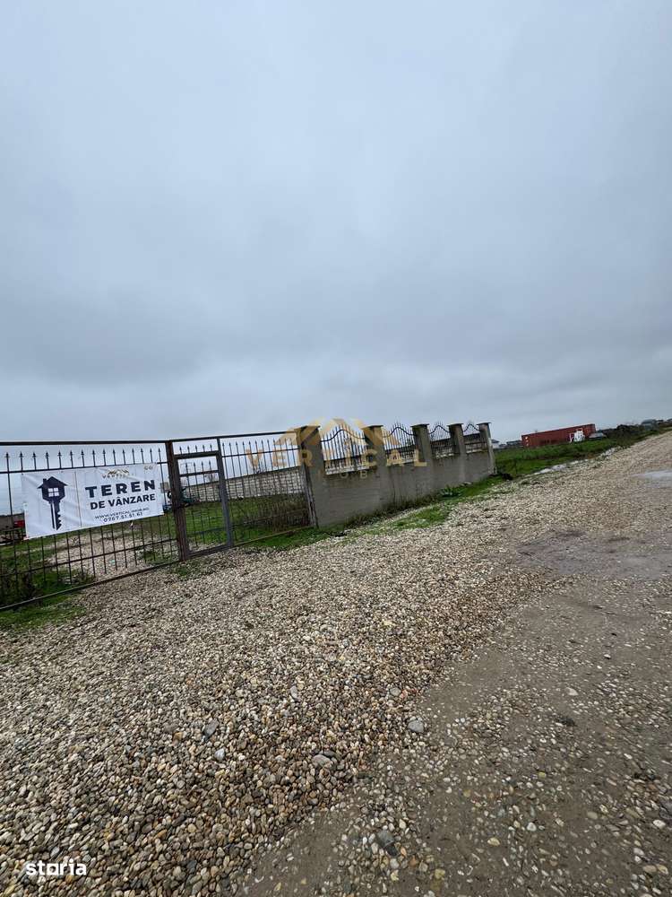 Teren 1861 mp, Berceni - Imagine principală: 2/4