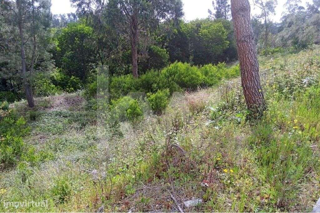 Lote de Terreno | 689m2 | Casal Fernão João | Pombal - Grande imagem: 3/14