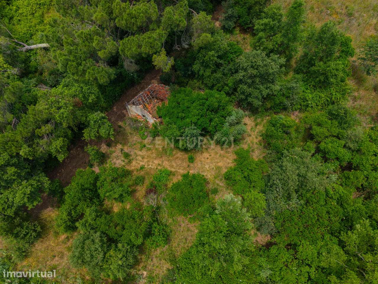 Terreno com 2.705 m² na Boavista, Alcobaça-6