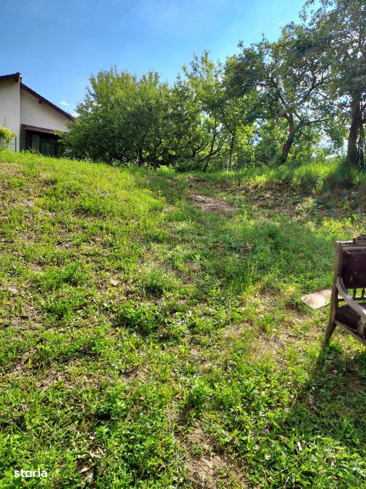 Teren intravilan pentru constructie casa individuala, zona Faget - Imagine principală: 4/6