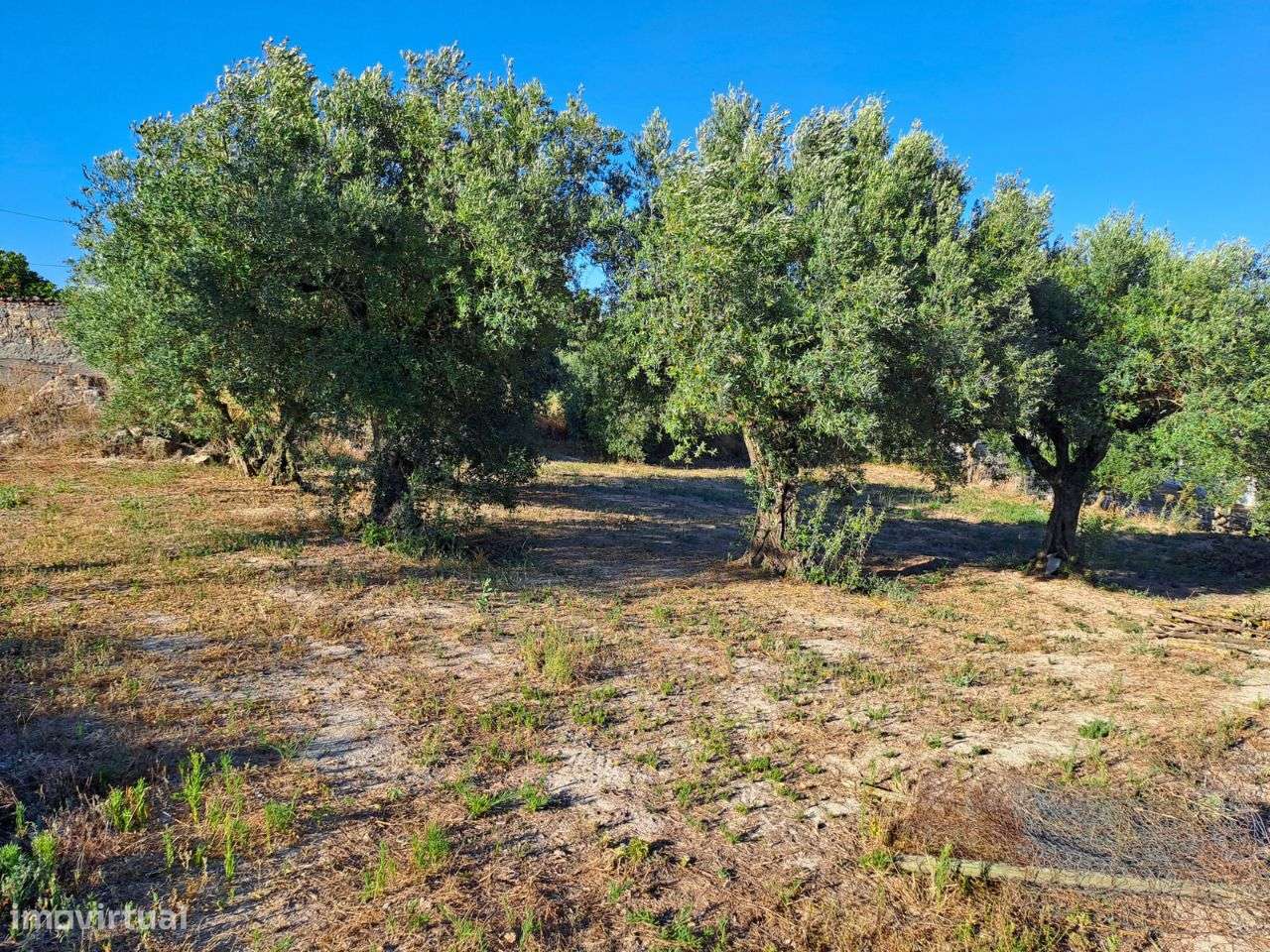 Terreno c/ Ruína p/ Reconstruir - Grande imagem: 2/16