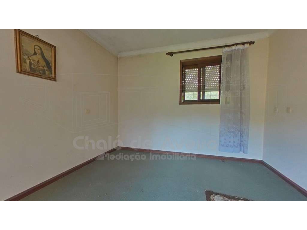 Quinta com 5.000 m2 e casa habitação T5 em Águeda-28