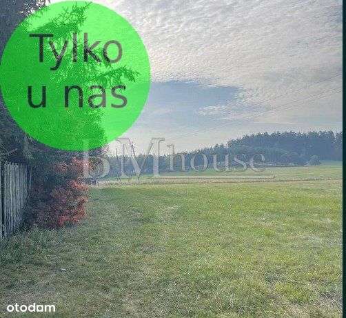 Działka budowlana niedaleko jeziora Probarskiego - Pełny obrazek: 4/8