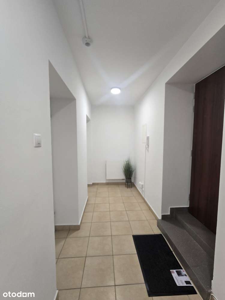 Lokal użytkowy z tarasem na dachu blisko CITY PARK - ul. Grottgera-5