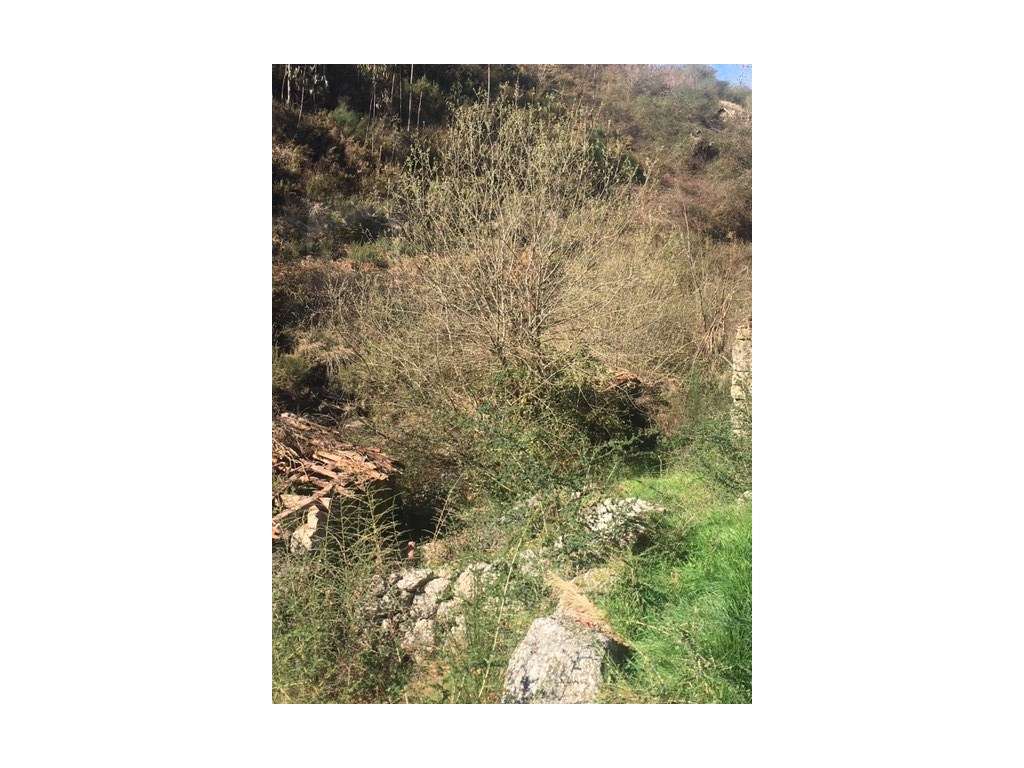 Moinhos Para Recuperar OPORTUNIDADE-23