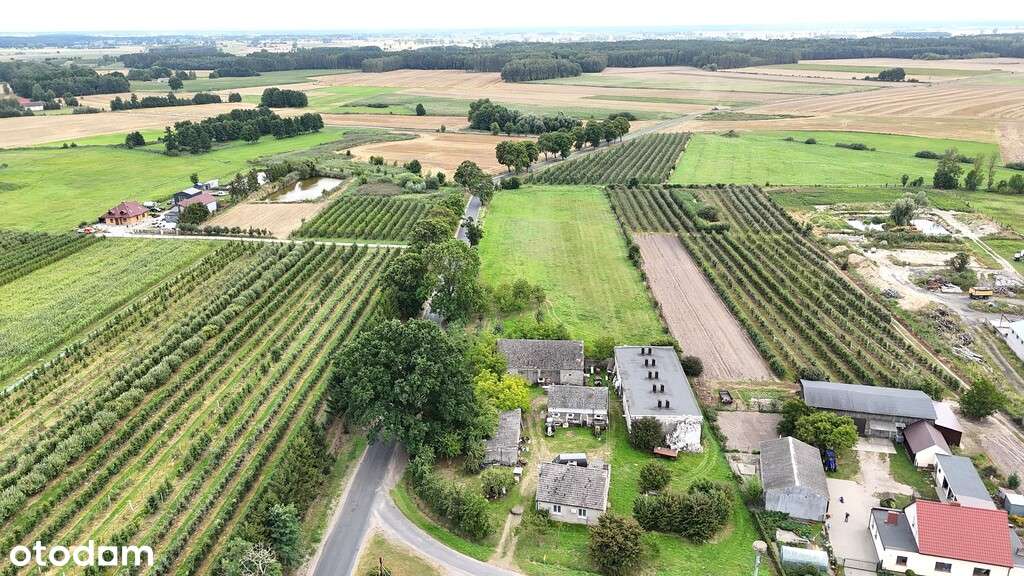 Na sprzedaż siedlisko, Komorzewo k. Czarnkowa, - Pełny obrazek: 5/11