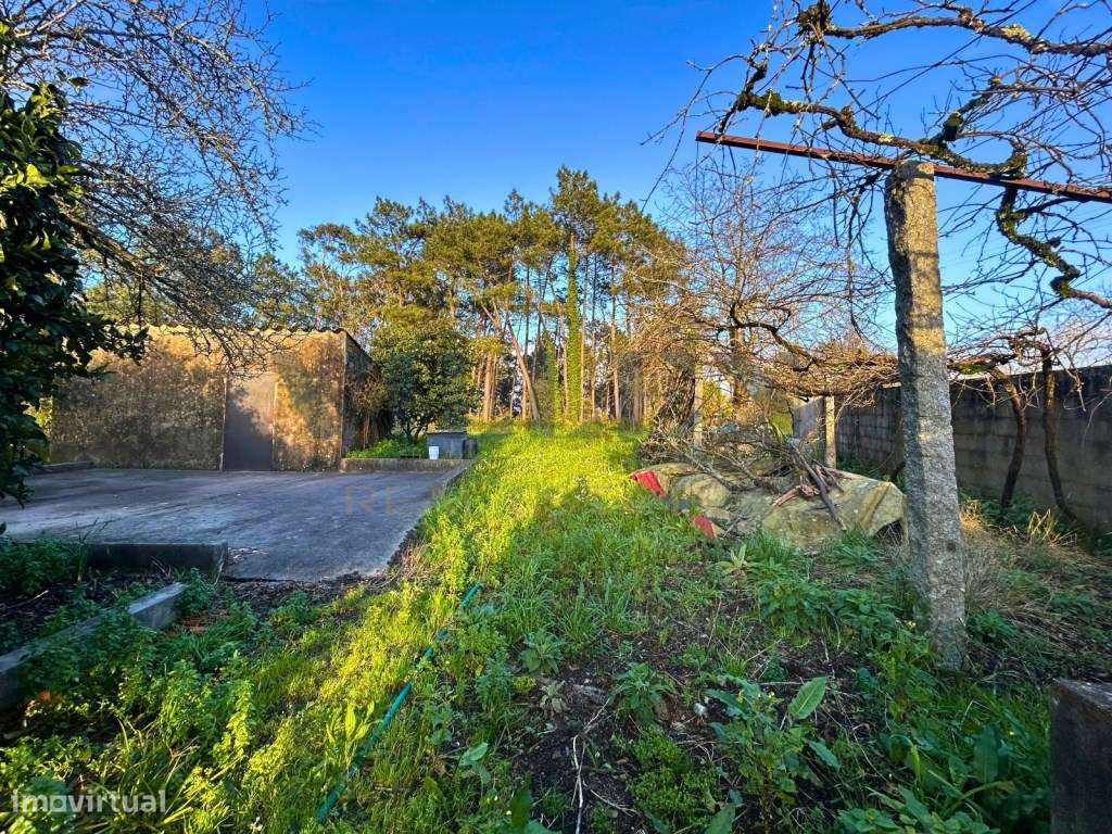 Moradia para Restaurar com 2.590 m² de Terreno, Privacidade e Excel...-10