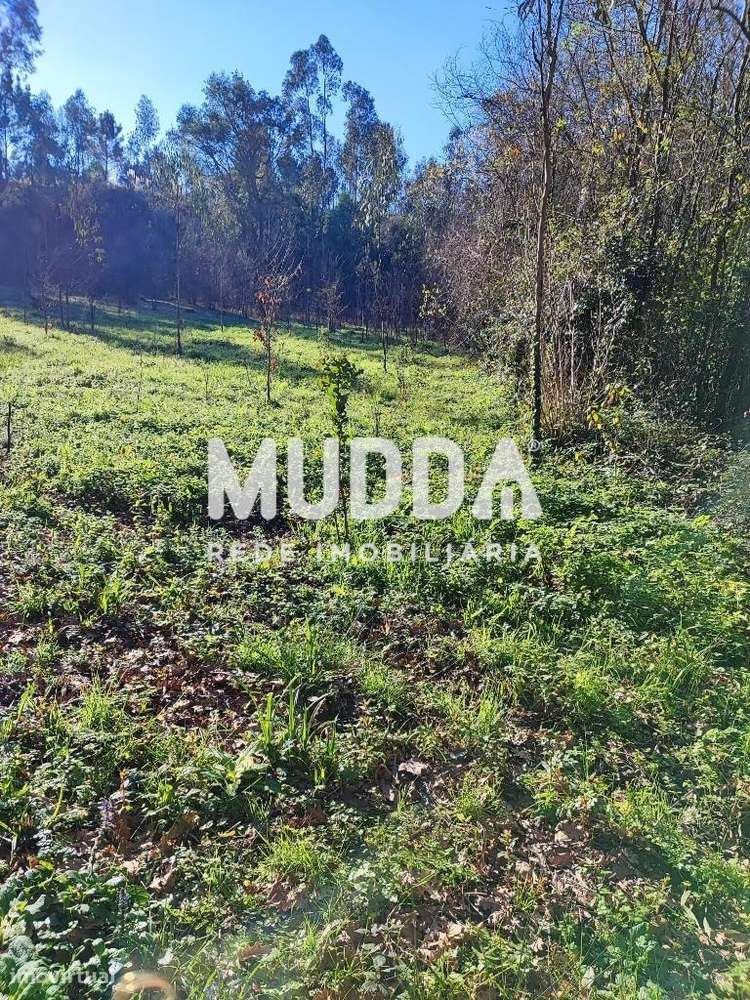 Terreno rústico com 3.370 m2 - Grande imagem: 4/5