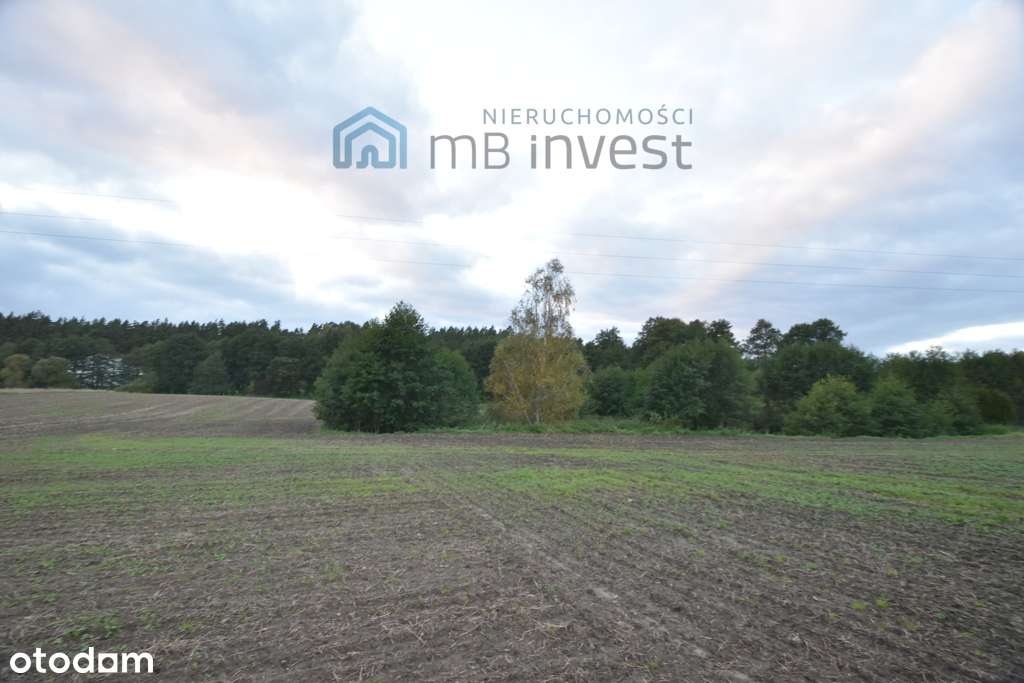 DZIAŁKA ZE STAWEM–OAZA CISZY I NATURY-ŻUŁAWKA-3