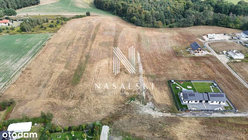 Działka budowlana / 751m2 / Reptowo / Światłowód - Pełny obrazek: 4/5
