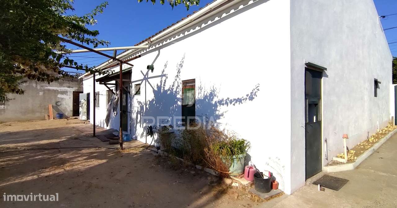 Moradia T3 - Chamusca - Grande imagem: 5/36