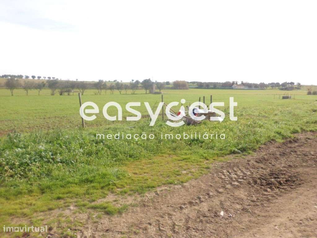 Terreno rústico em Cuba no perímetro de rega do Alqueva - Grande imagem: 3/7