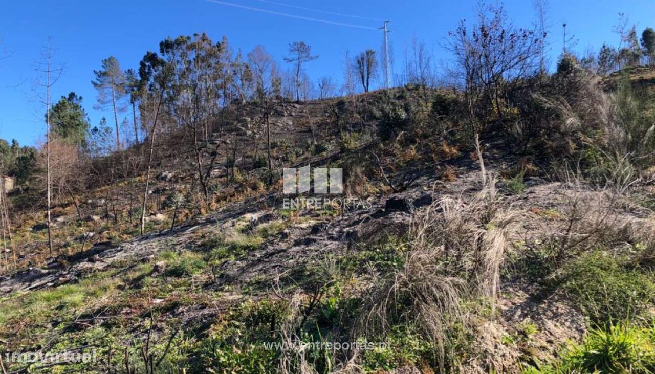 Venda Terreno, Ancede, Baião - Grande imagem: 5/28