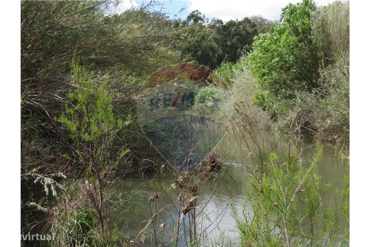 Terreno  para venda - Grande imagem: 4/24