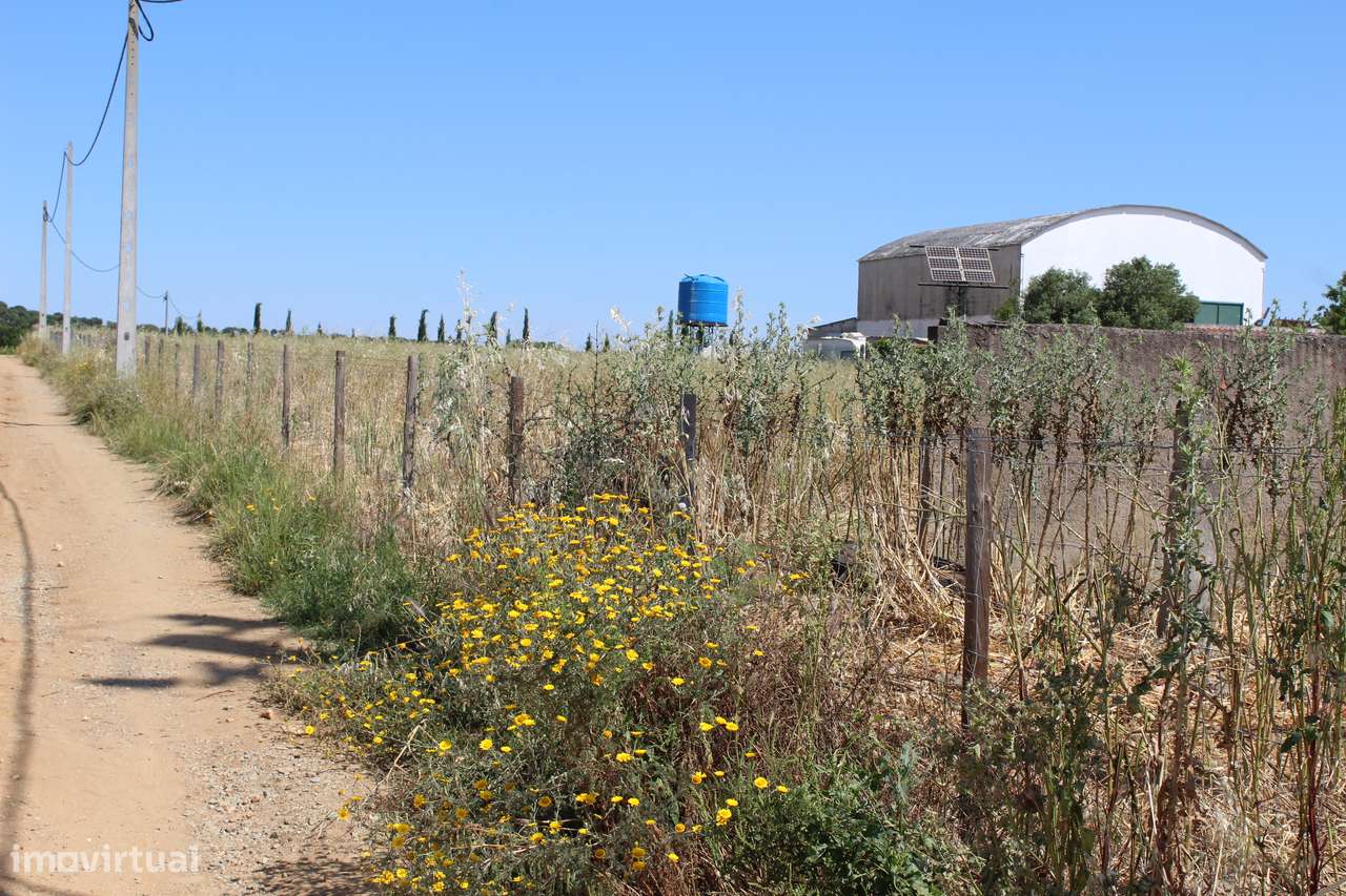 Terreno à Venda – Monte da Azinheira, Aldeias de Montoito - Grande imagem: 5/5