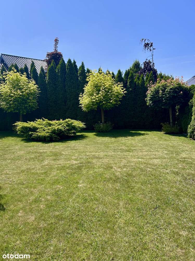 Pietrzykowice gmina Kąty Wrocławskie wolnostojący 2010 rok-1