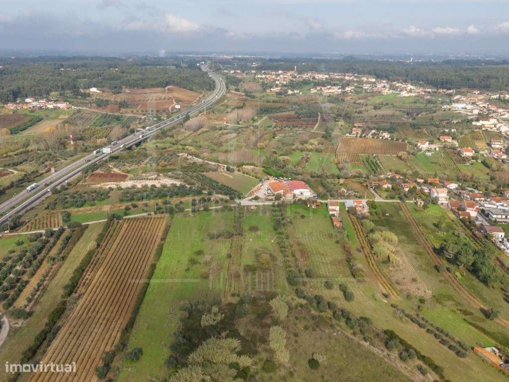 Terreno | Ventosa do Bairro, Mealhada-8